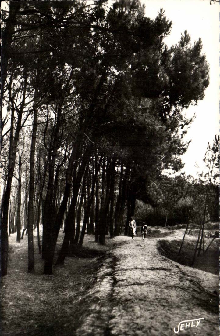 Bretignolles on Sea - the Drill of the Dunes - CPA