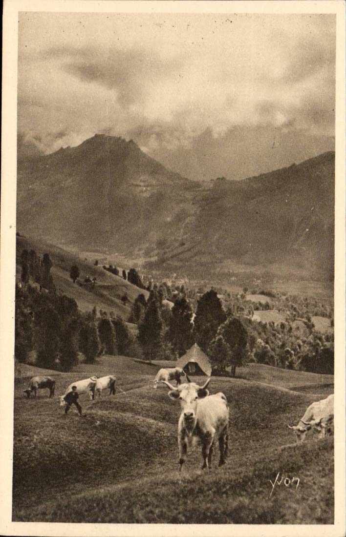 CPA Weide auf der Strasse des Kragens von Aubisque