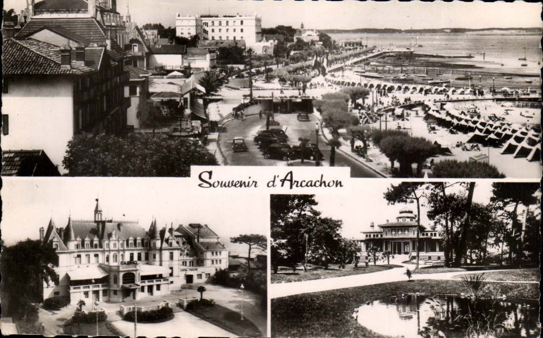 Arachon - Souvenir - CPA 