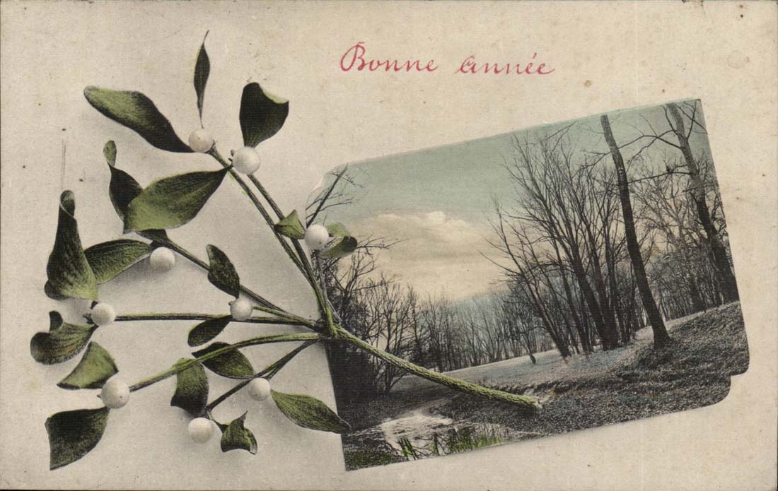 CPA Fantasy Happy New Year Flowers