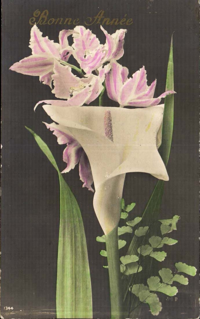 CPA Fantasy Flowers Happy New Year