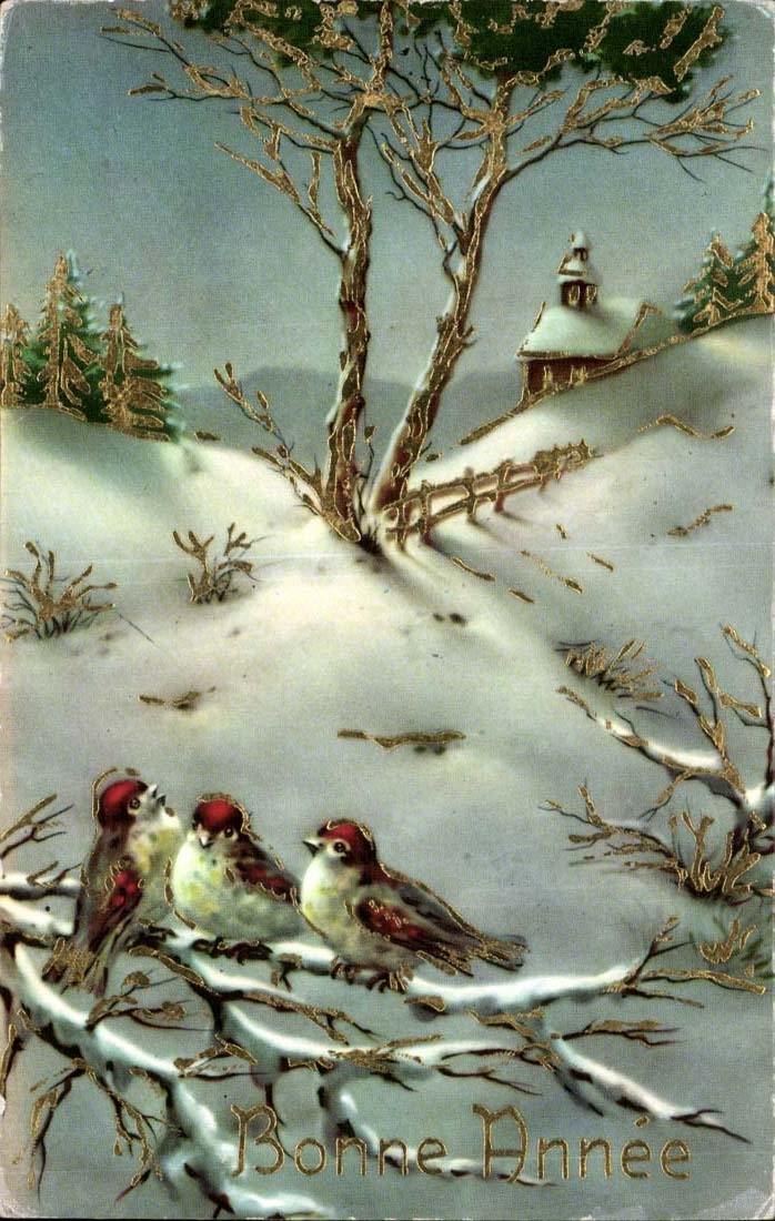 CPA Fantasy Happy New Year Birds