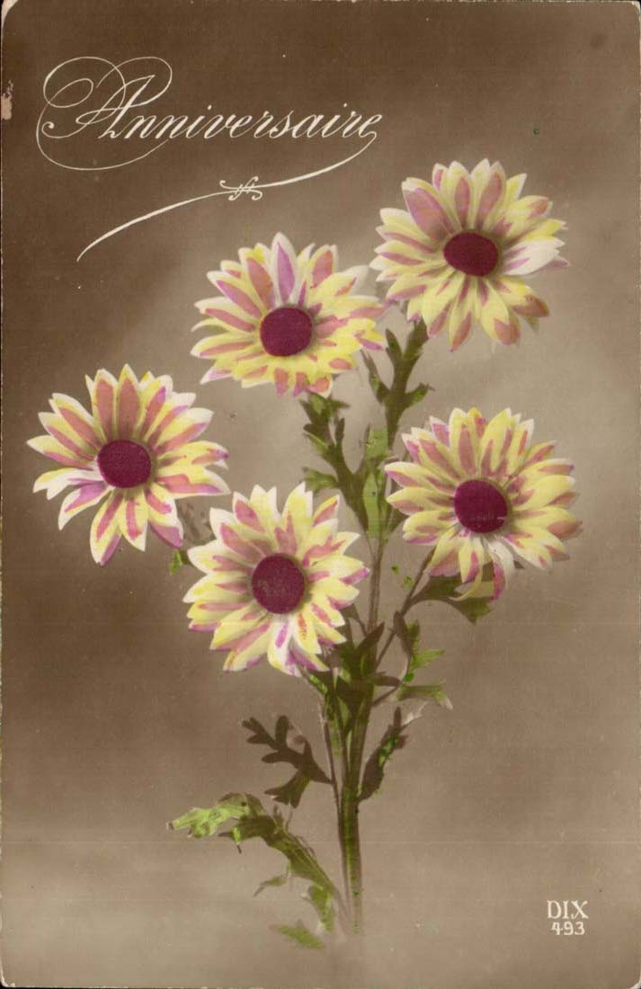 CPA Fantasy Happy Roses birthday