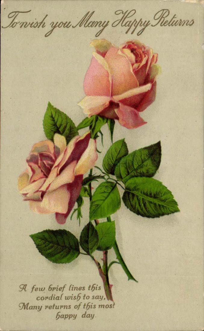 CPA Fantasy Flowers Roses