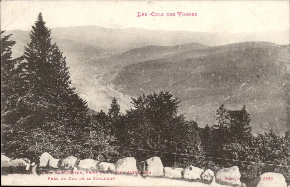 CPA Kragen des Vosges-Tales von Munster de Hotel Altenerpg nah an dem Kragen von Schlucht