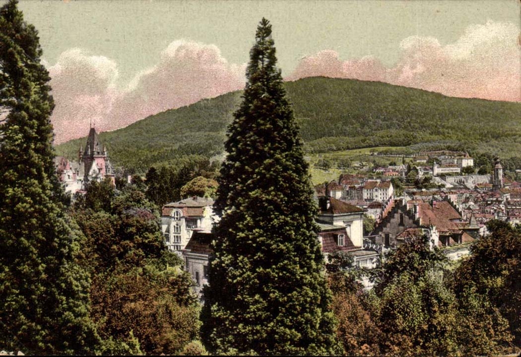 Germany CPA Baden Baden Blick vom Friesenberg