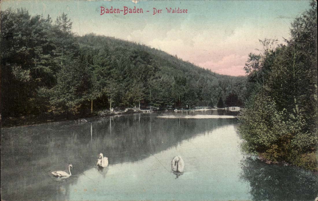 Germany Baden Baden CPA Der Waldsee (swans)