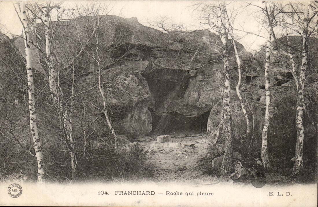 Franchard CPA Roche which cries