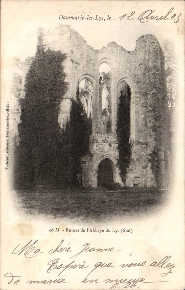 Dammarie Lilies CPA Ruins of the abbey of the Lily (southern)