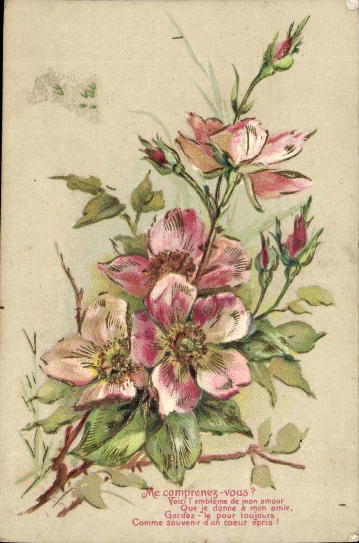 Do CPA Fantasy include/understand Me? (flowers) relief