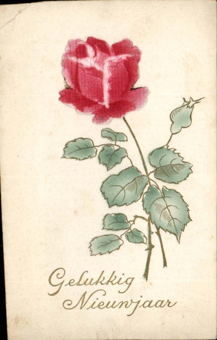 CPA Fantasy Flowers Decoration in relief Gelukkig Nieuwjaar