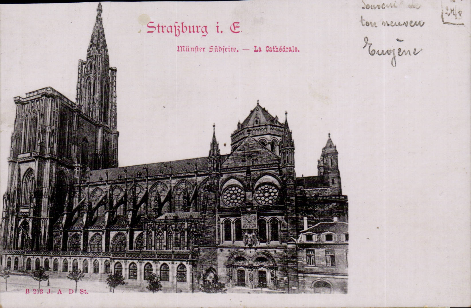 Strassburg CPA the cathedral