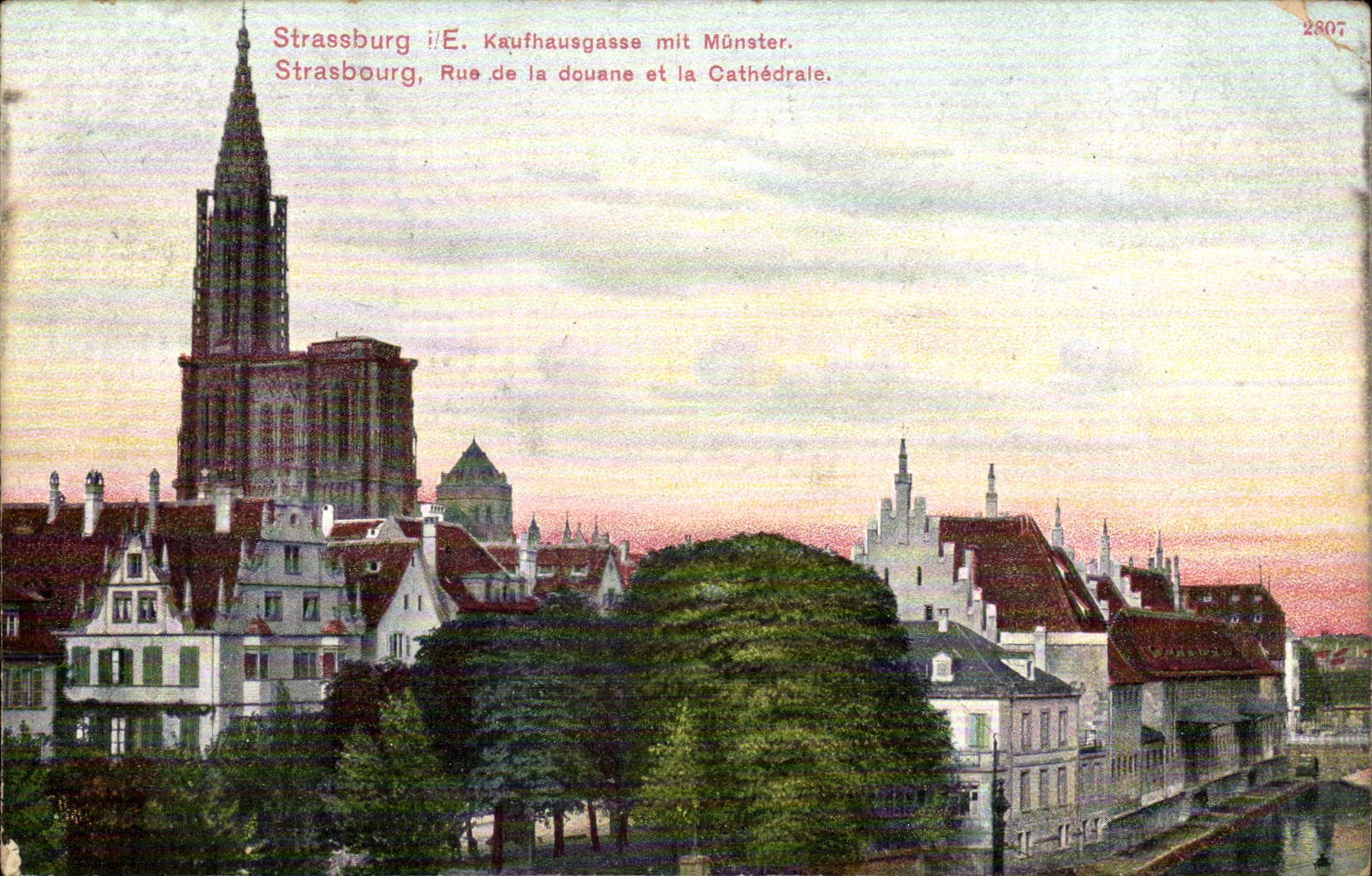 Strassburg CPA Street of Douae and cathedral