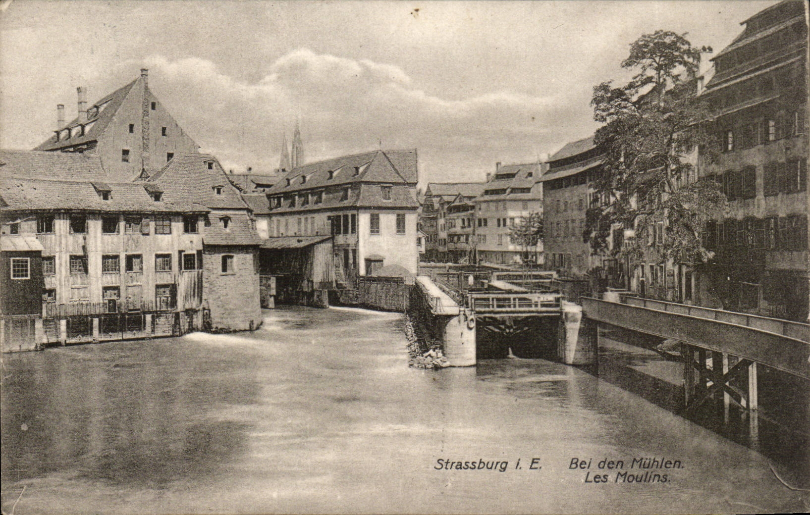 Strassburg CPA mills