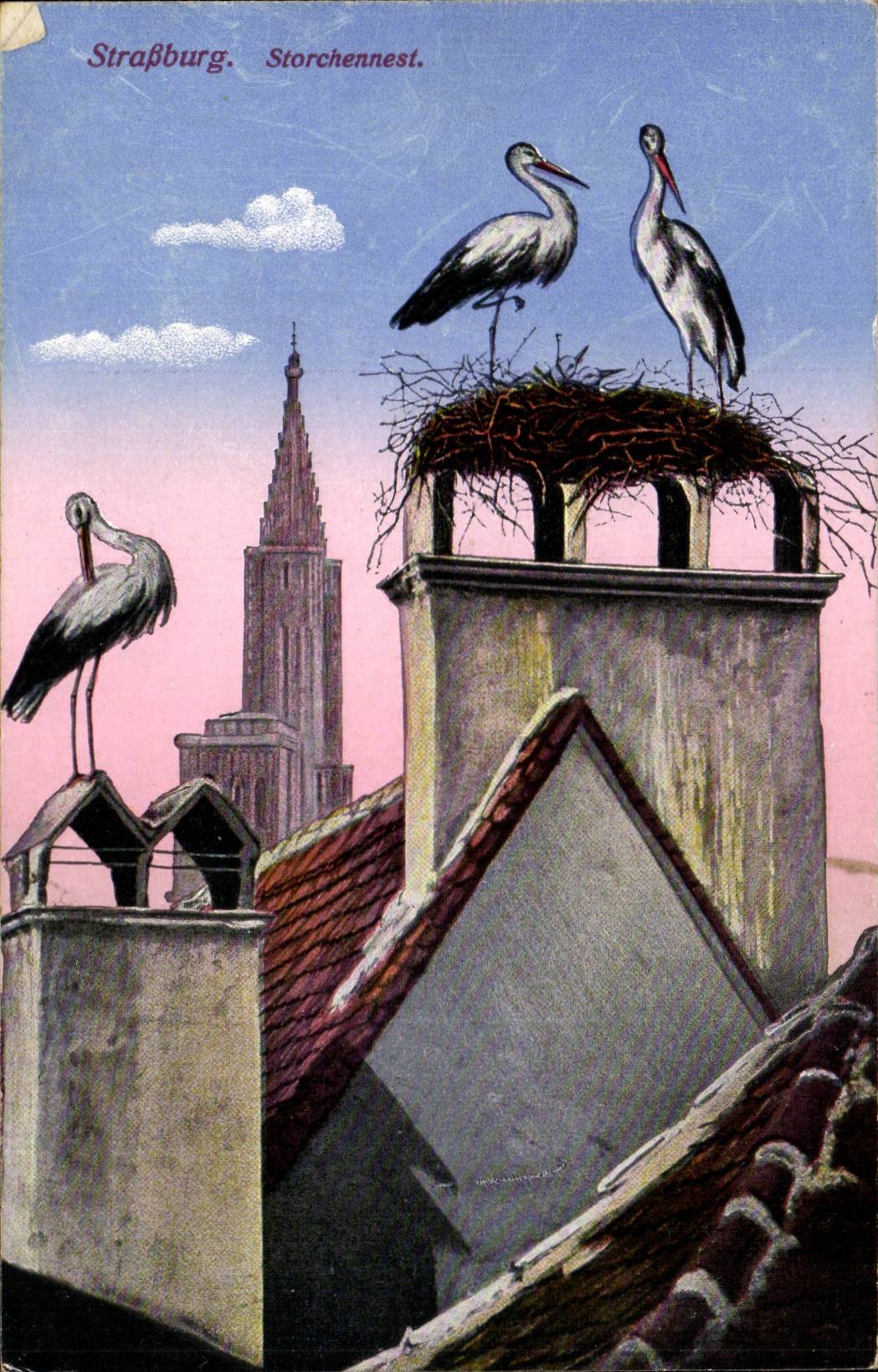 Strassburg CPA Storchennest (storks)