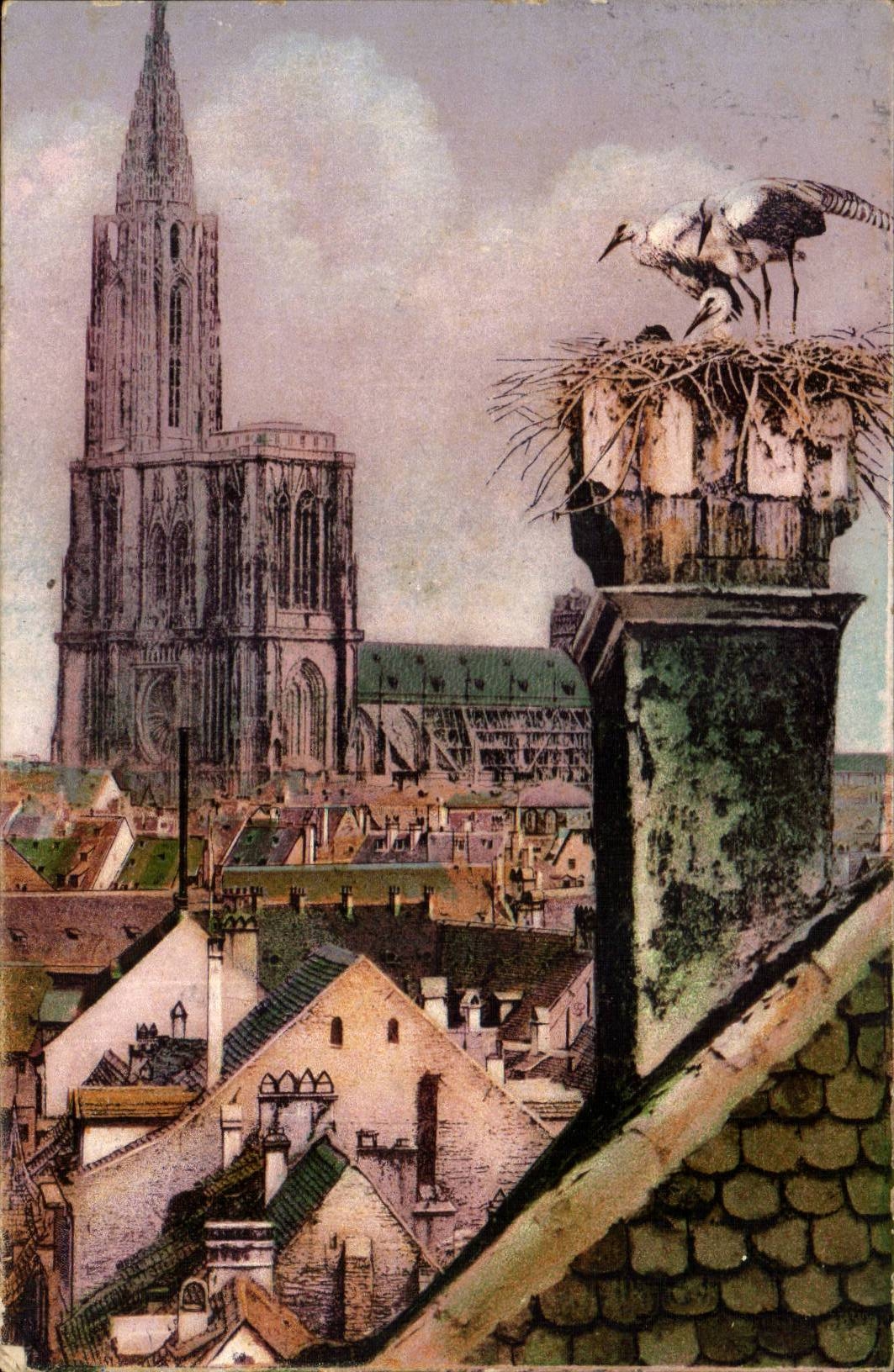 Strassburg CPA Cathedral and storks
