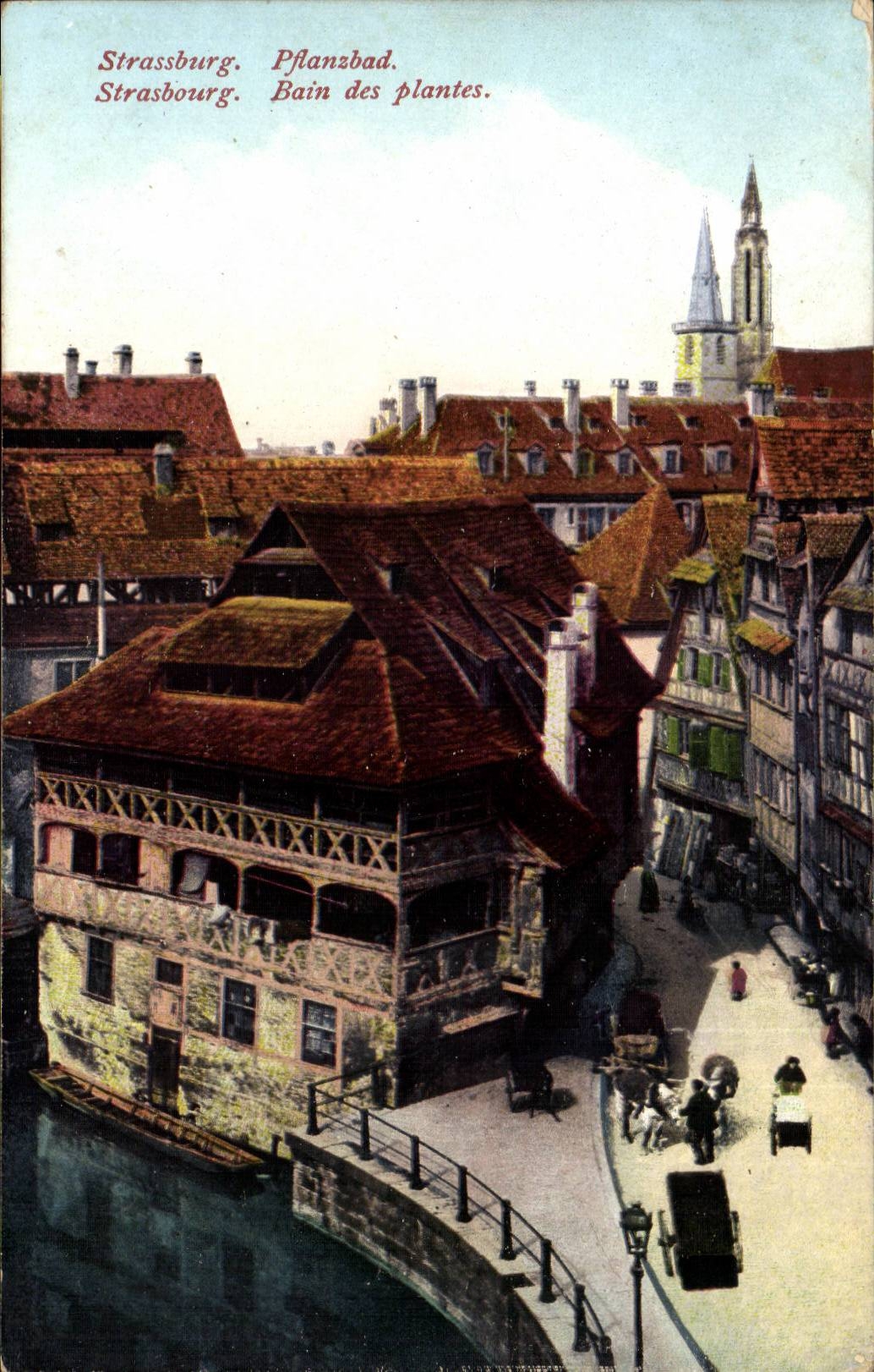 Strassburg CPA Bath of the plants