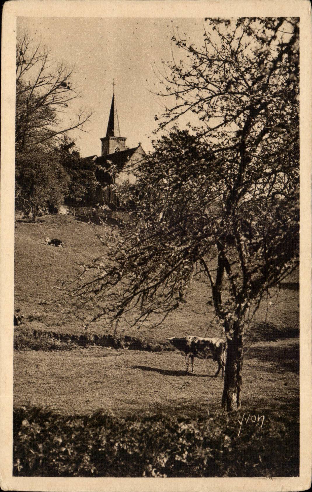 CPA Landscape of Switzerland Norman