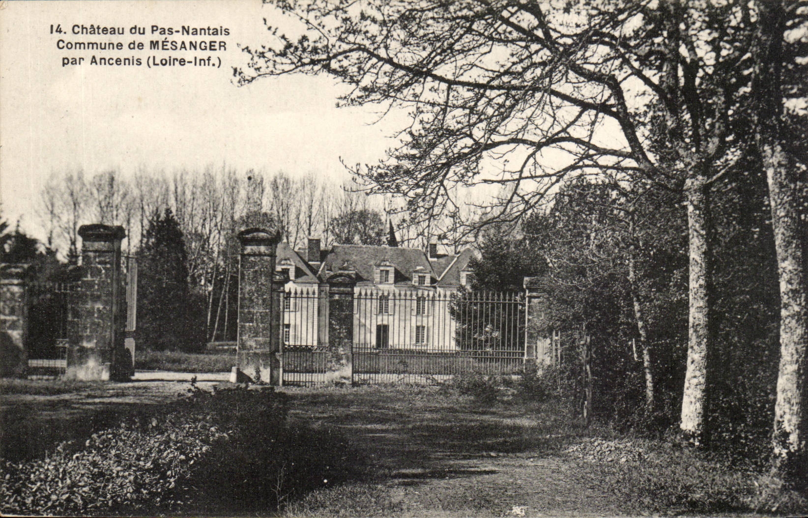 Castle of the Nantes Step Commune of Mesanger by Ancenis CPA