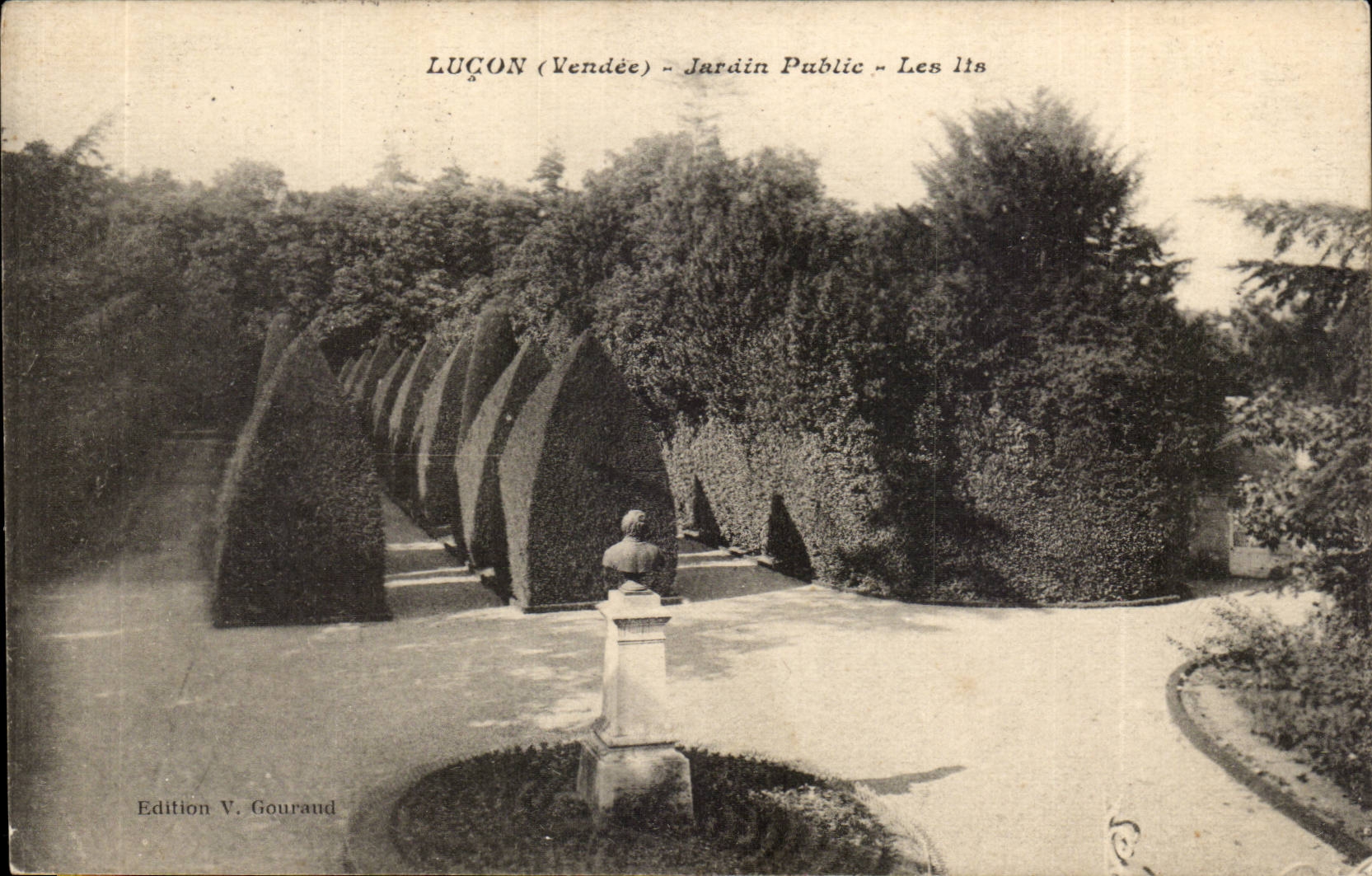 Lucon CPA Lilien des allgemeinen Gartens