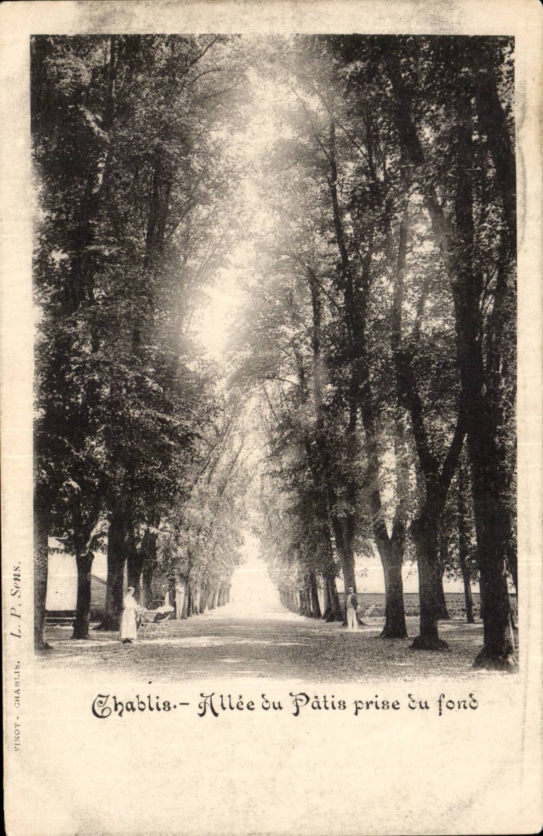 Windfallen wood - Allee of the Rough grazing taken of the bottom -
