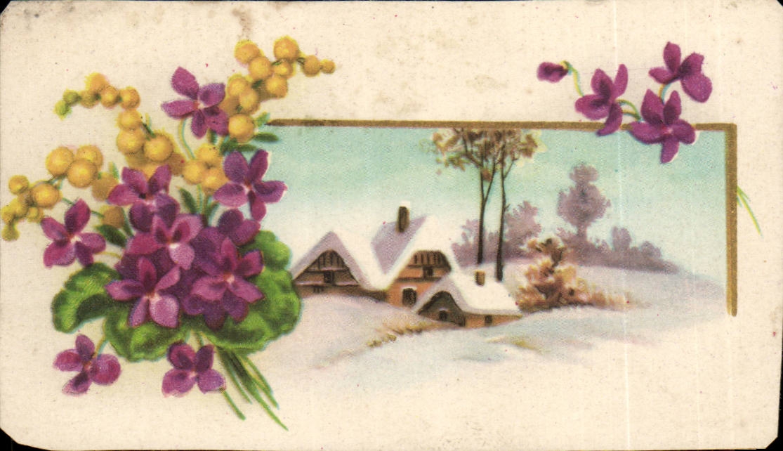 CPA Fantaise Flowers (chart small size)