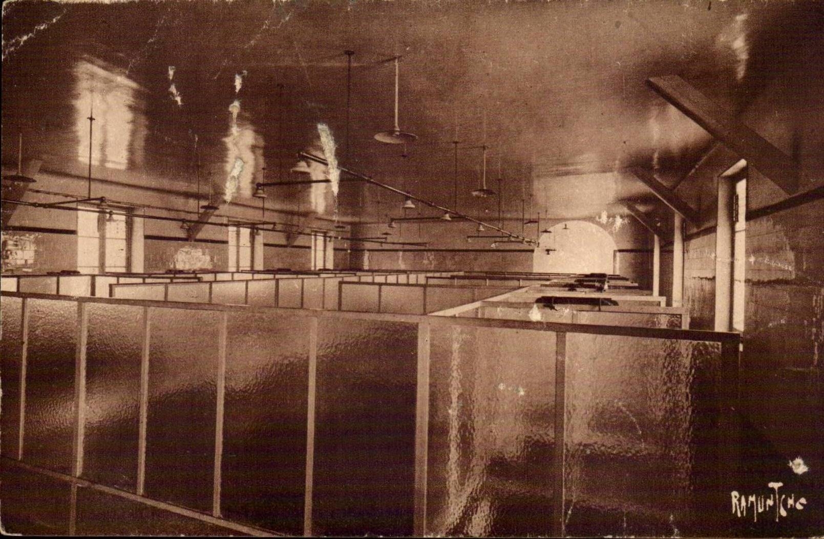 Island of Oleron CPA happy House showers