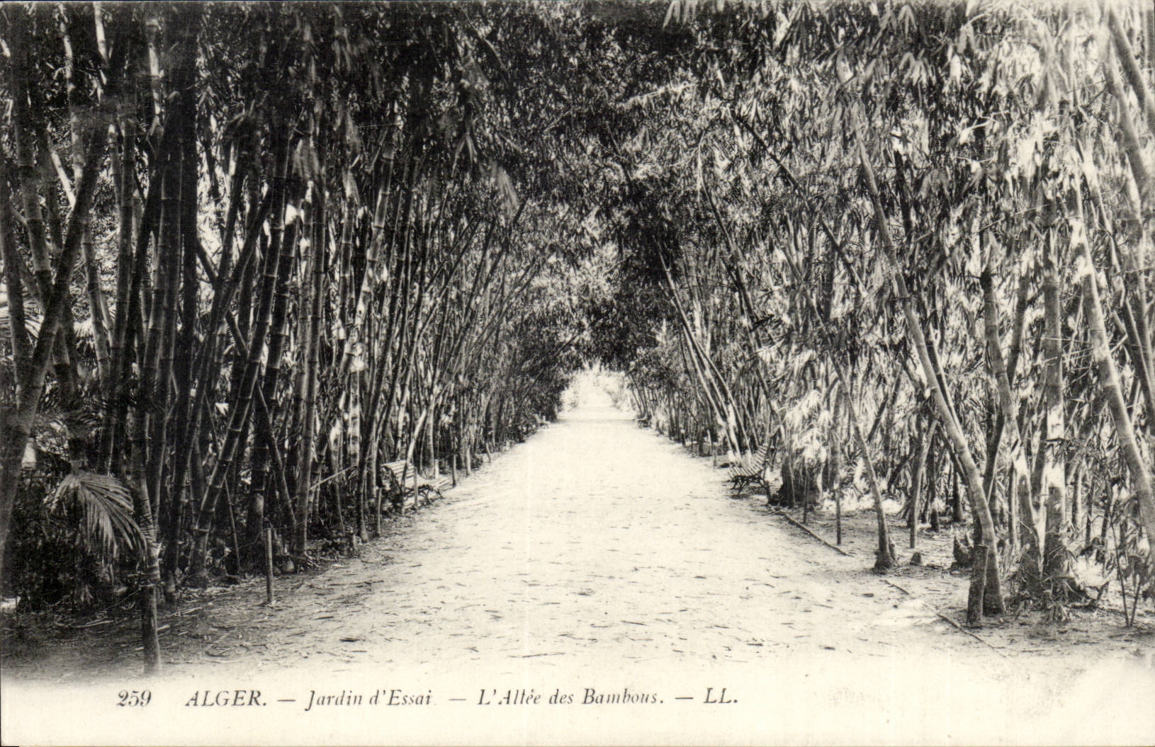 Garten Algerien-Algiers CPA des Tests die Gasse vom bmabous