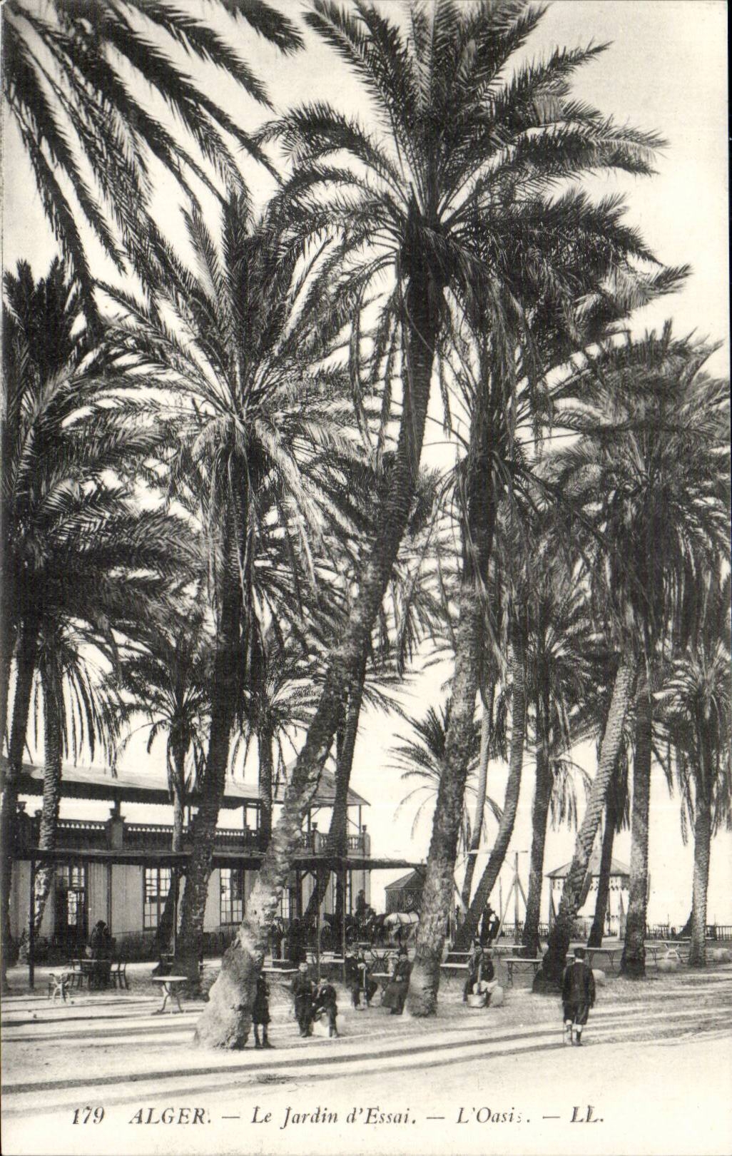 Algerien Algiers CPA der Garten der Tests die Oase