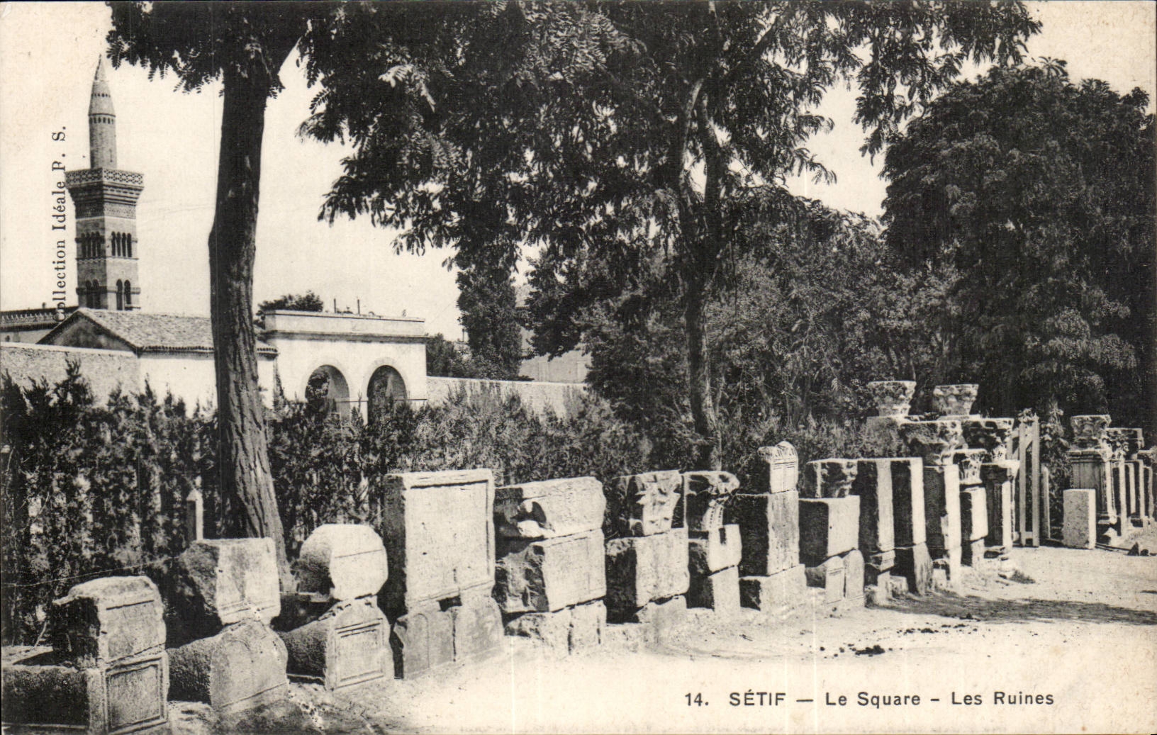 Algeria Setif CPA the public garden ruins