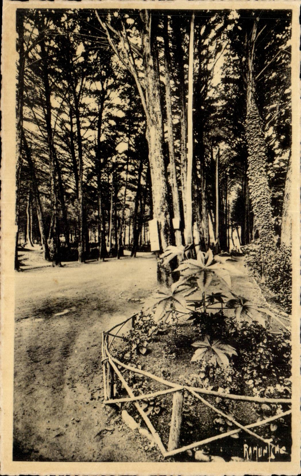 CPA Chatelaillon Park of the casino