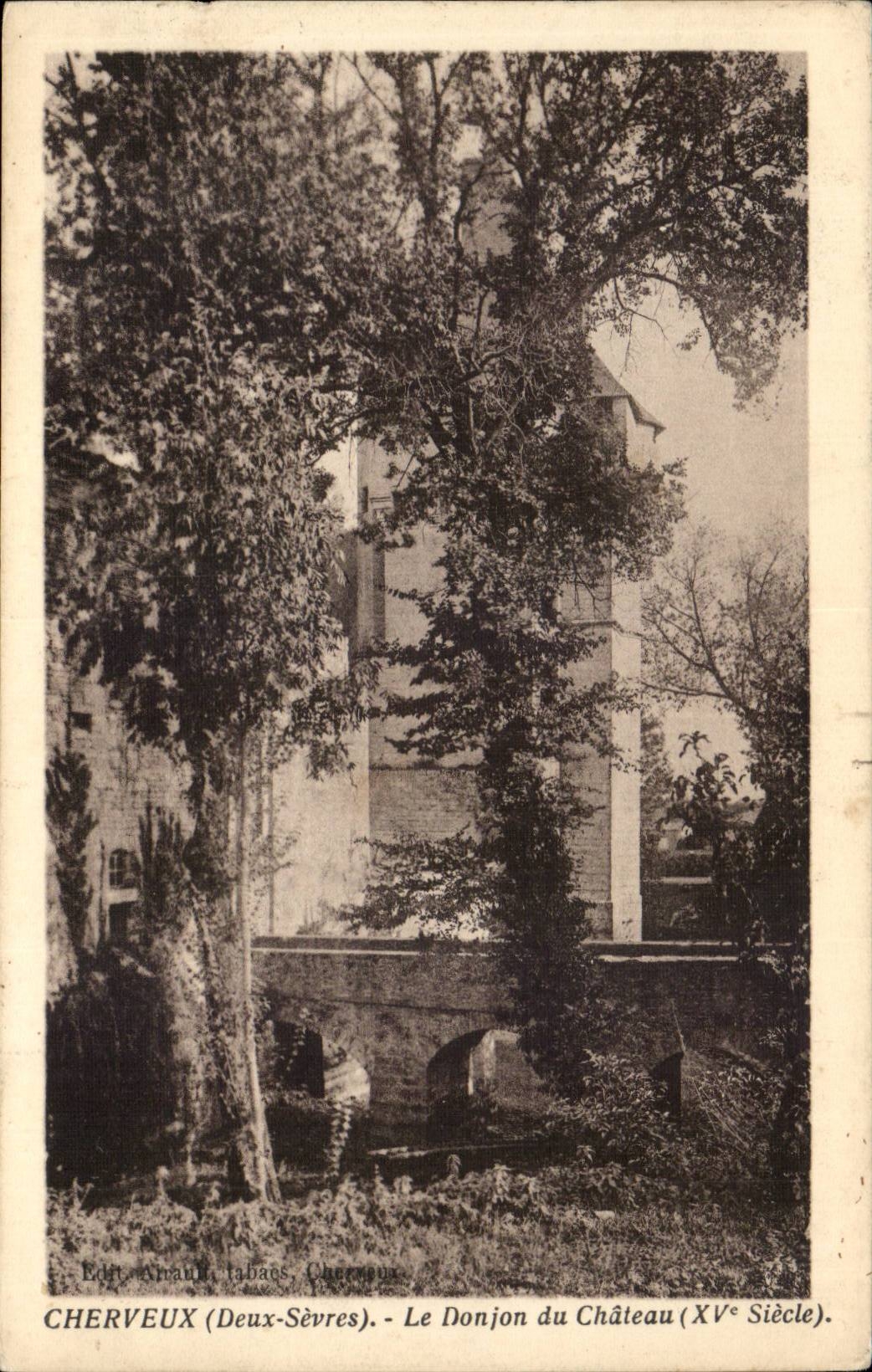 Cherveux CPA der Unterhalt des Schlosses