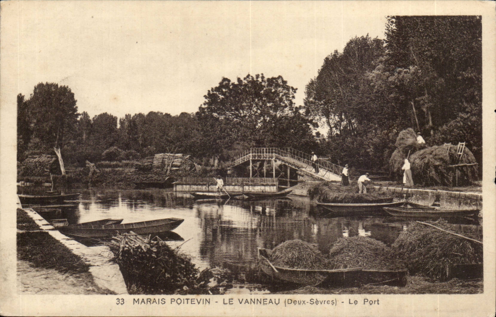 Sumpf poitevin CPa der Regenpfeifer das Port (sehr netter Schuss)