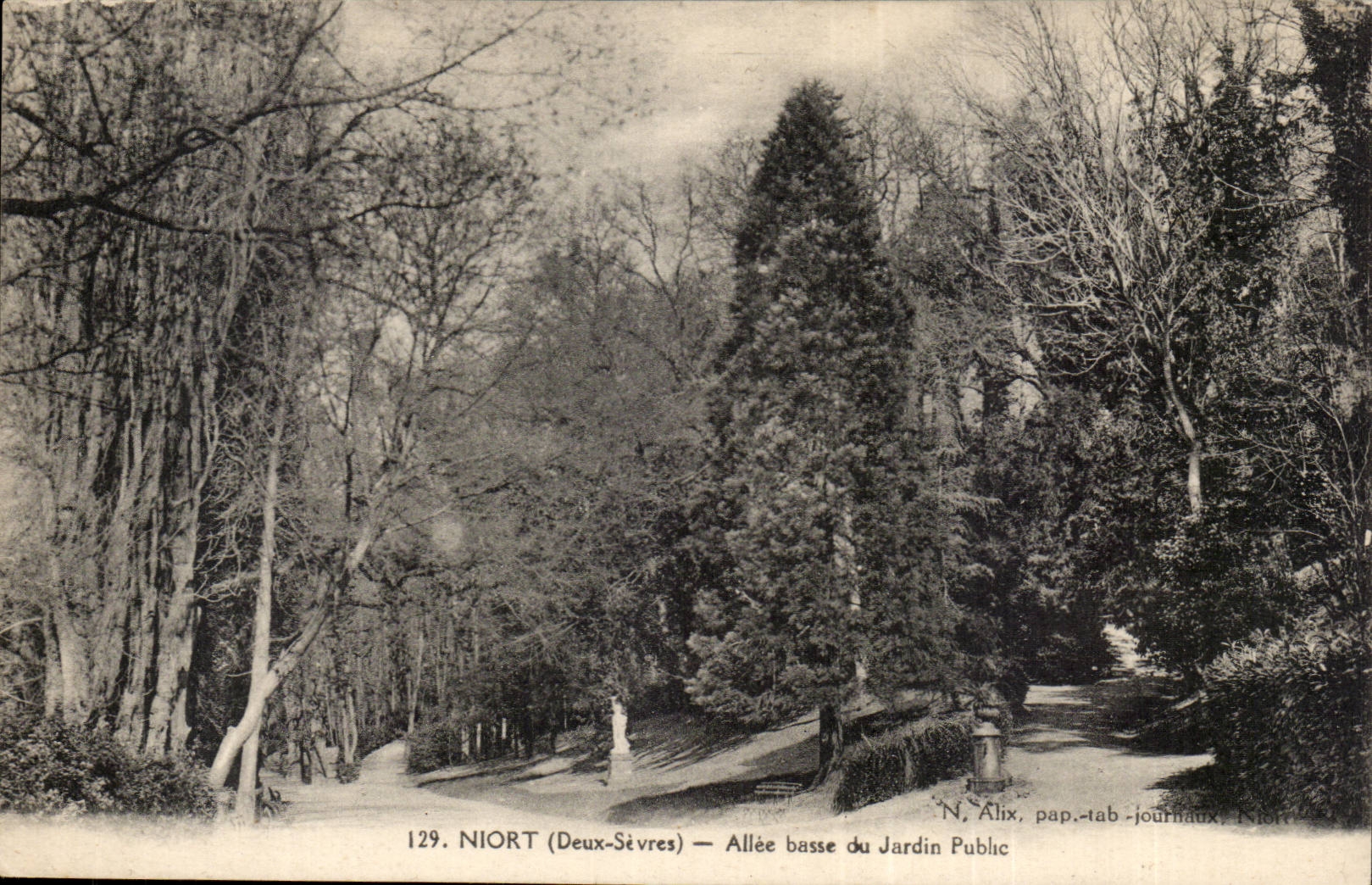 Niort CPA Allee low of the park