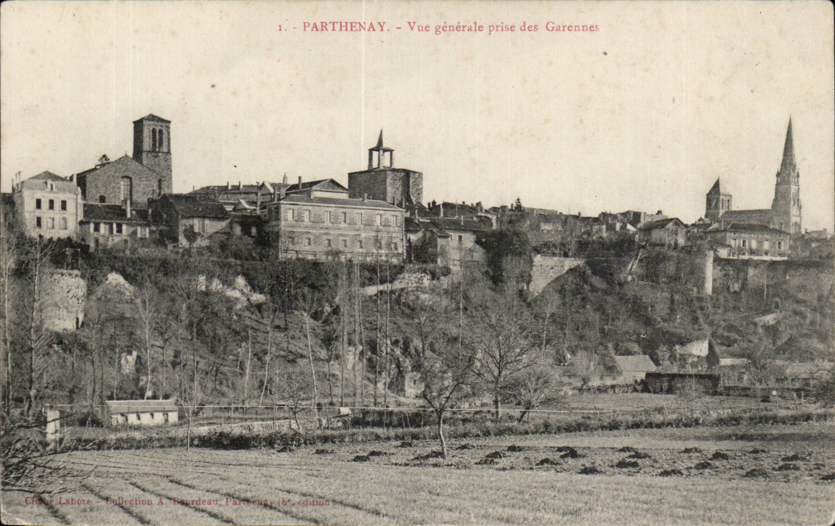 Parthenay CPA View taken of the Wild rabbits