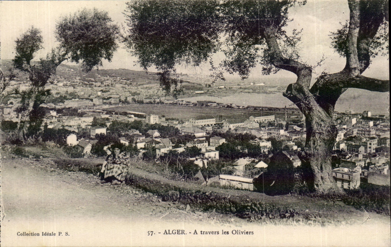 Algiers CPA durch die Olivebaume