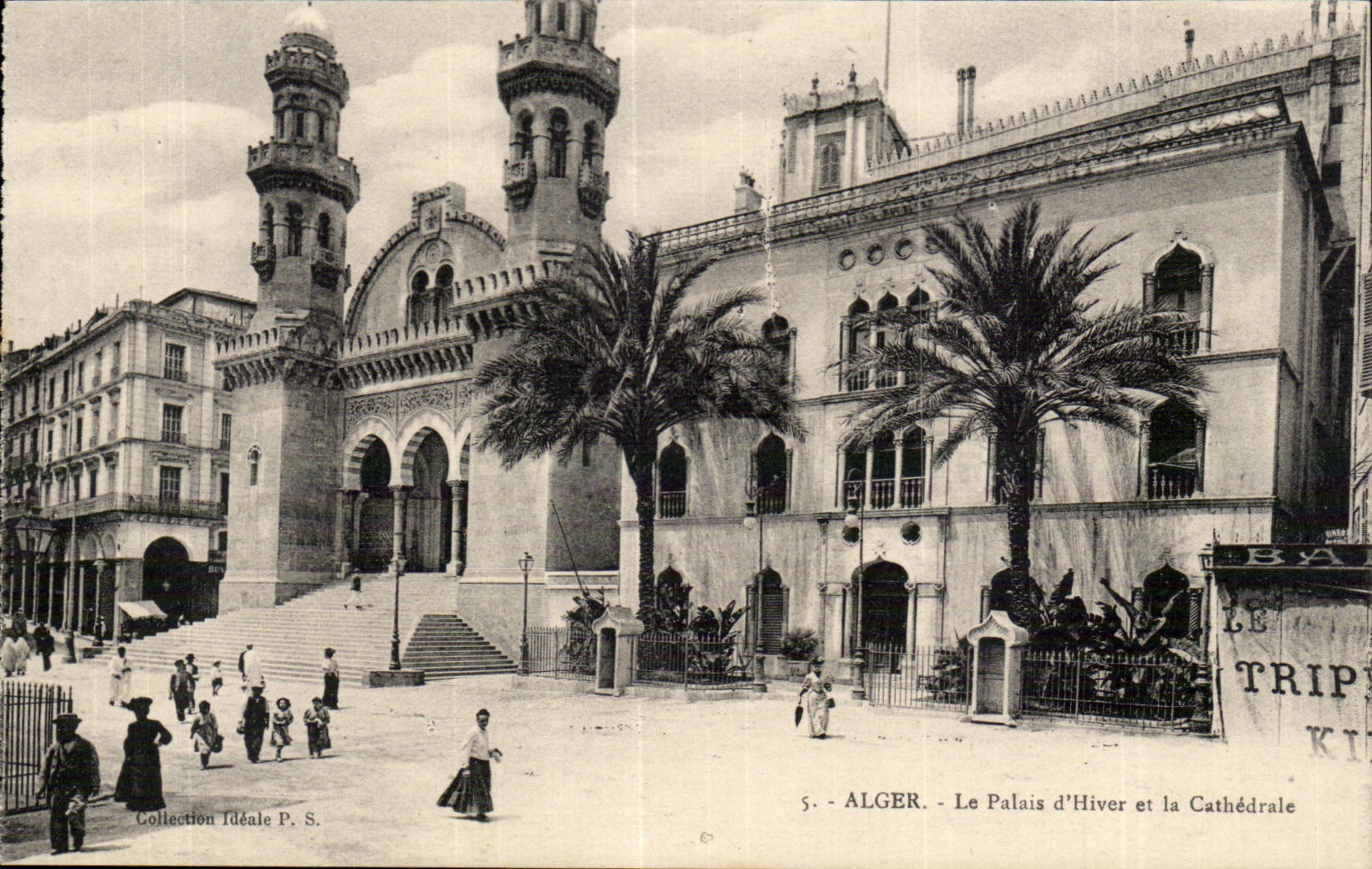 Algiers CPA the palate of winter and the cathedral