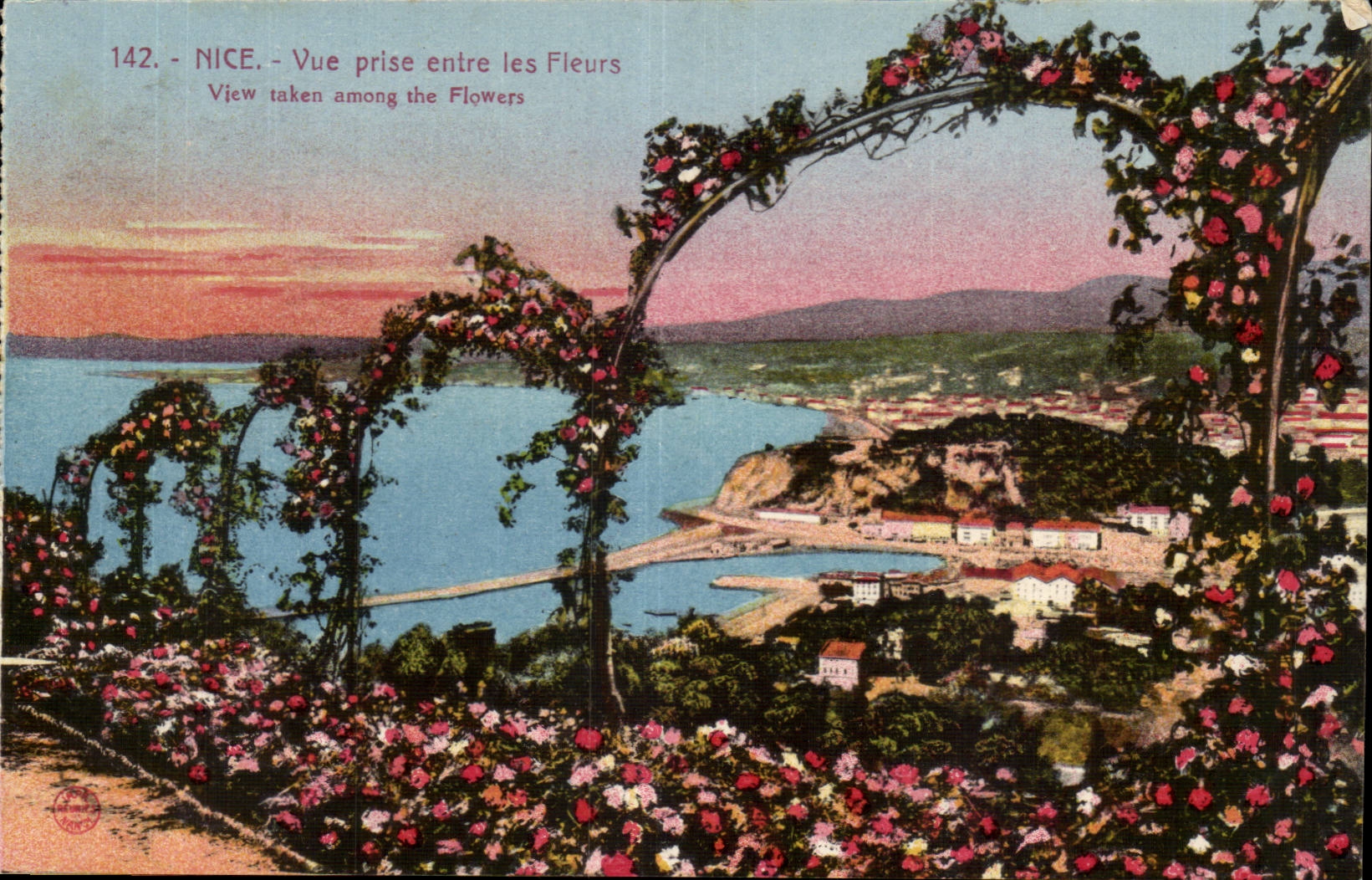 Nice CPA Seen from between the flowers