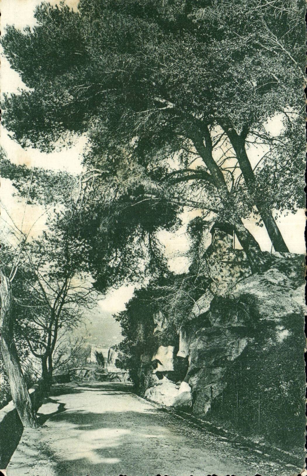 Nice CPA Allee of the old castle