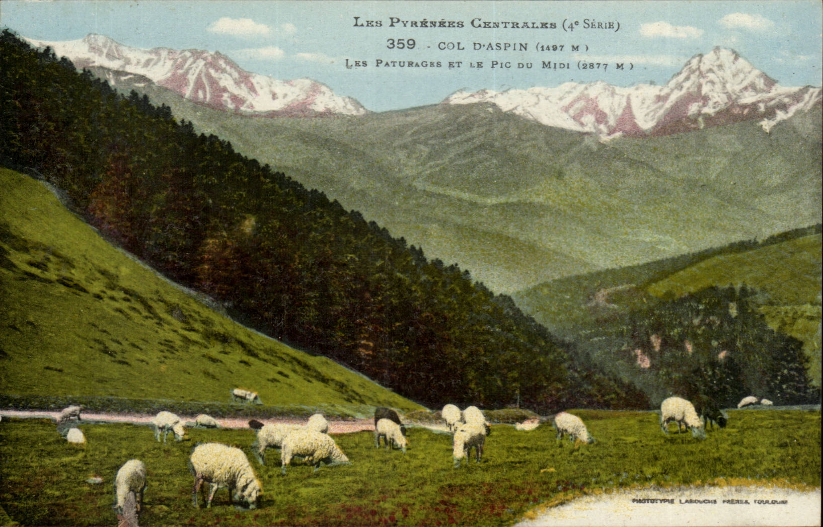 Kragen von Aspin CPA weidet und die Spitze des Sudens