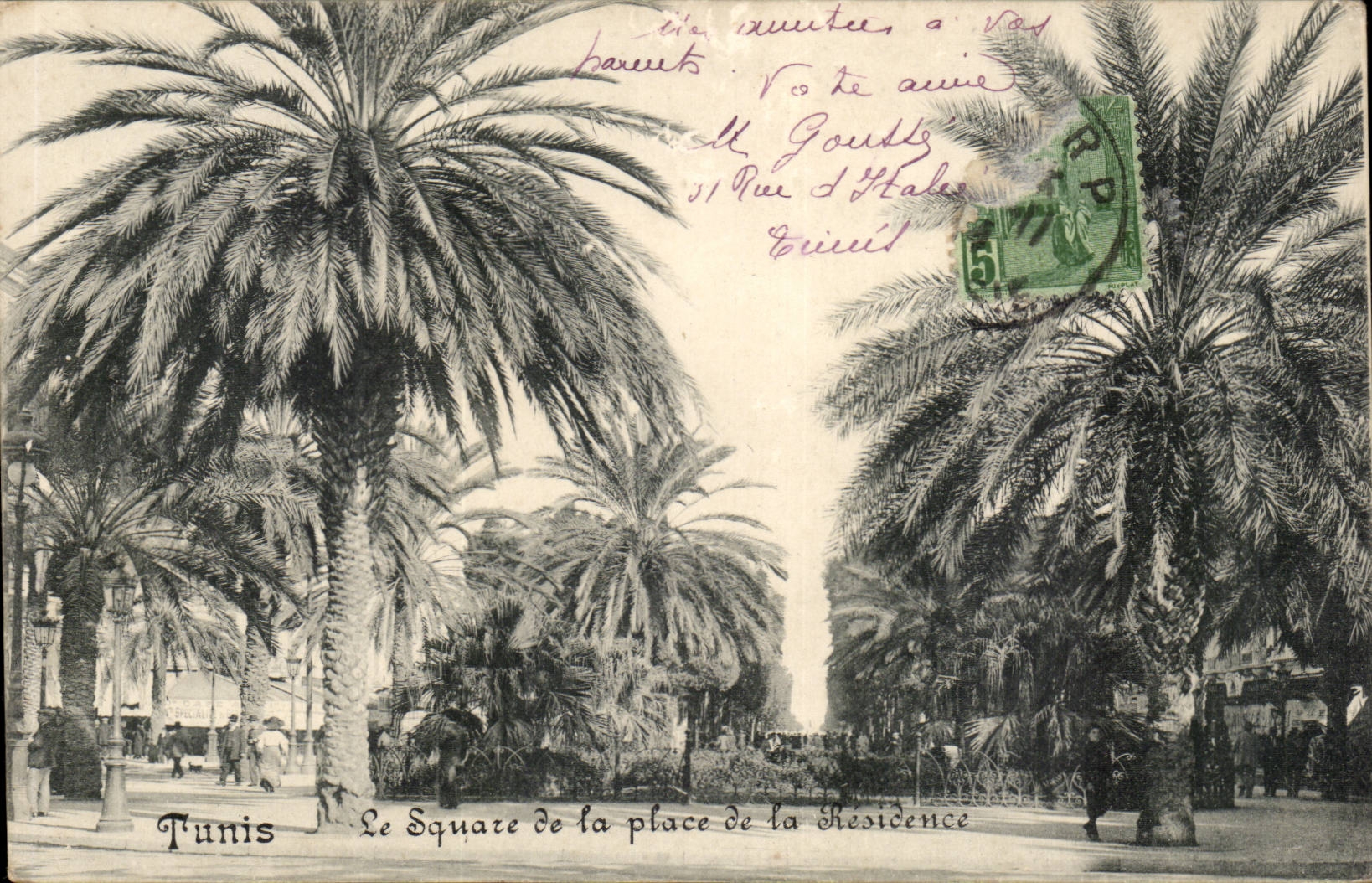 Tunisia CPA Tunis the public garden of the place of the Presidency