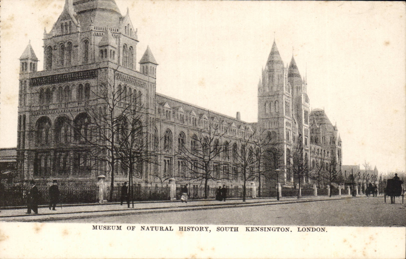 The United Kingdom CPA London London Museum off Natural History South kensington