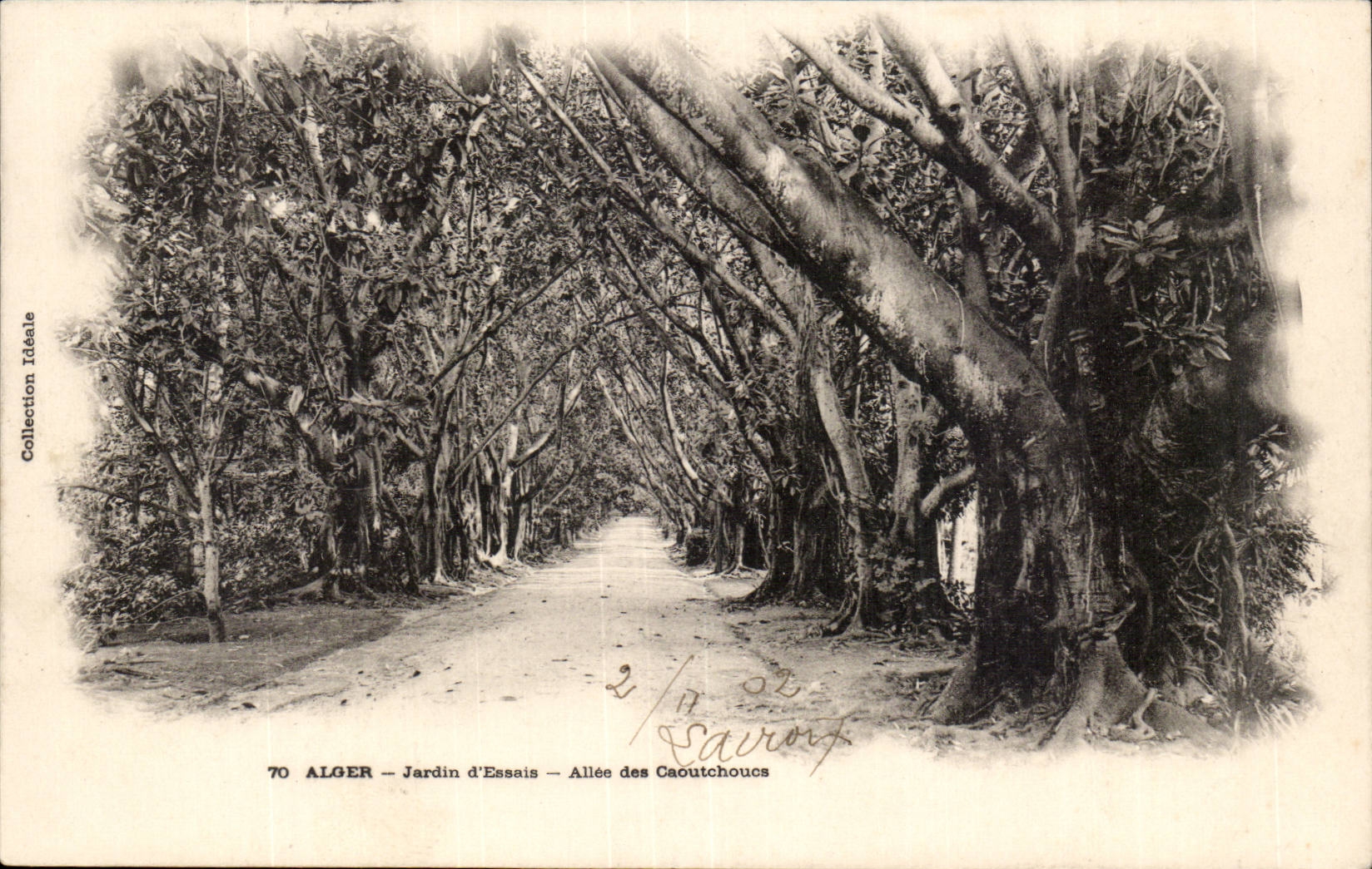 Garten Algerien-Algiers CPA der Tests Allee der Gummis