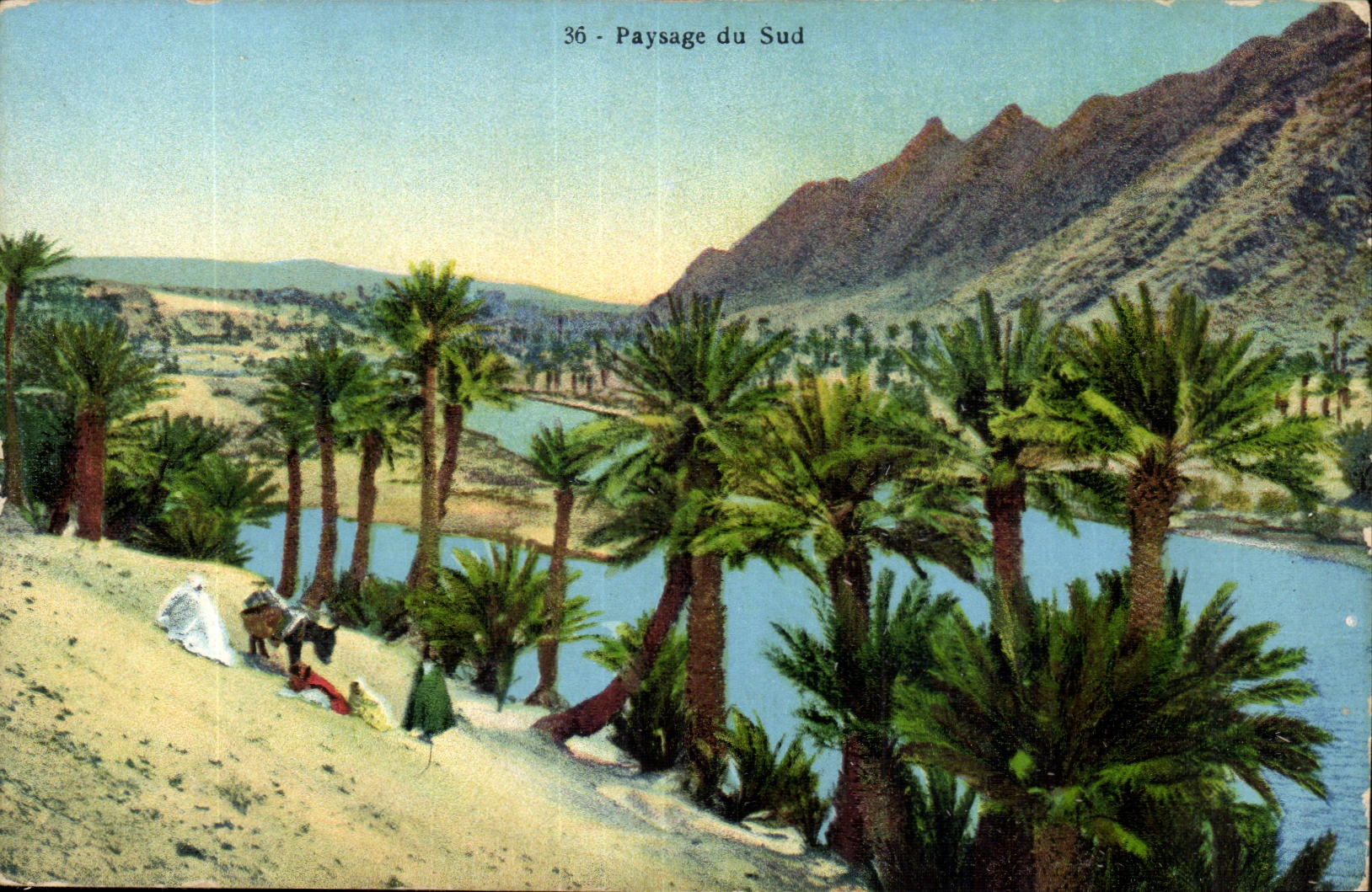 Algeria CPA Landscape of the south (palm trees)