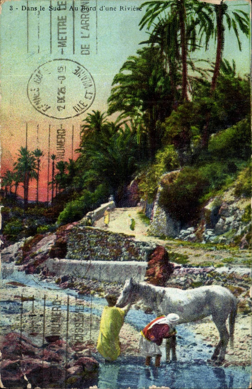Algeria CPA In the south At the edge of a river (horse)