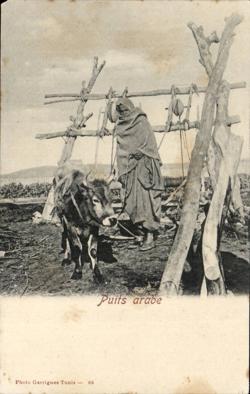 Algeria CPA Arab Well