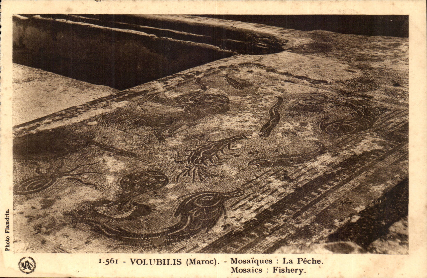 Morocco Volubilis CPA Mosaic Fishing