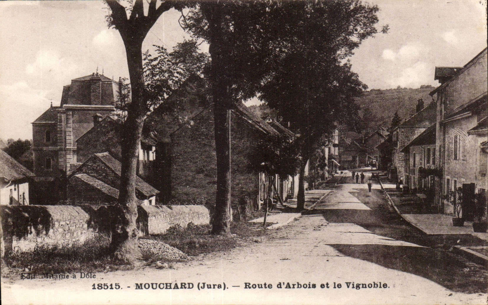 Informer CPA Road of alpine laburnum and the vineyard