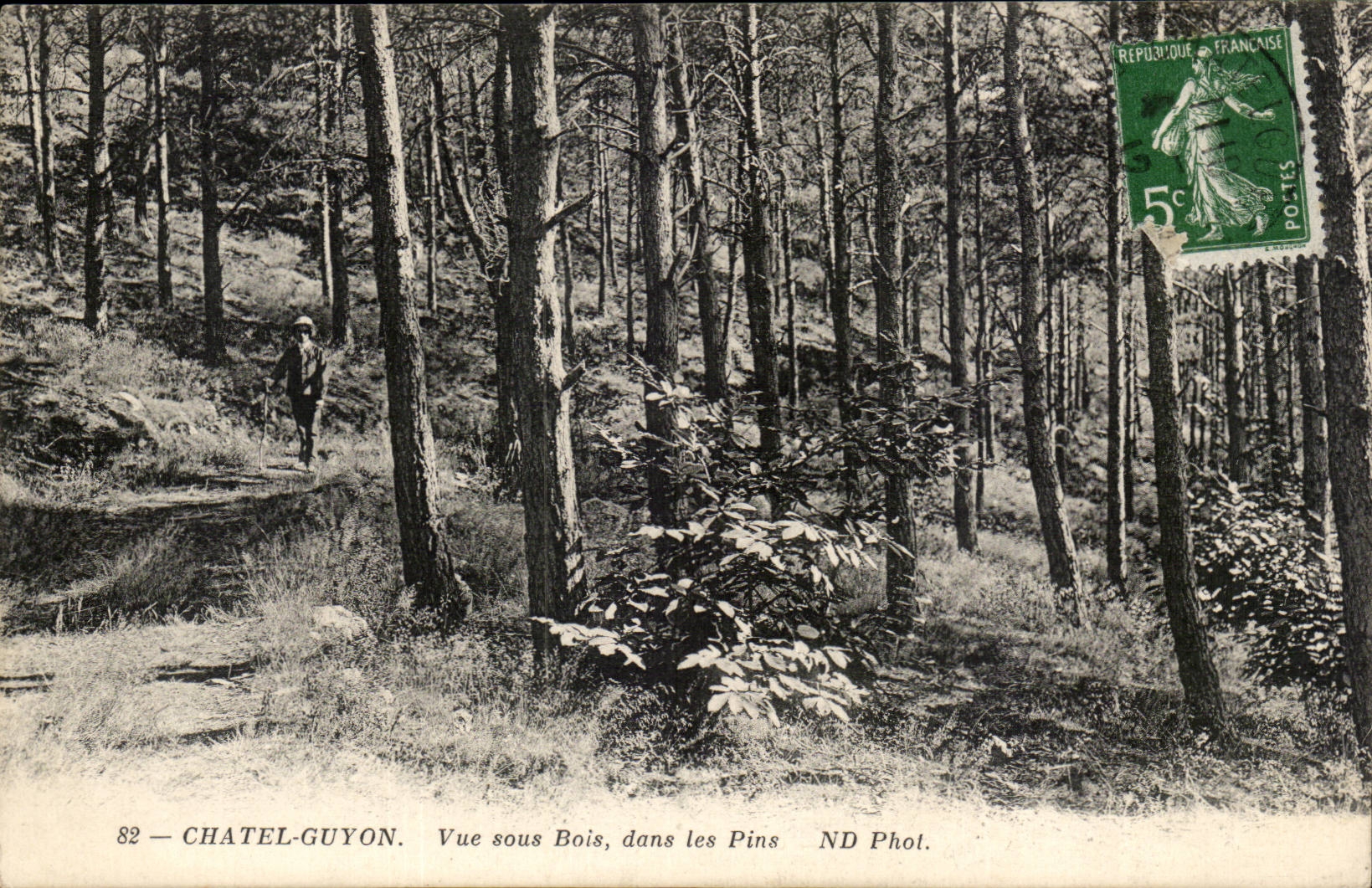 Chatelguyon CPA Seen under wood in the pines