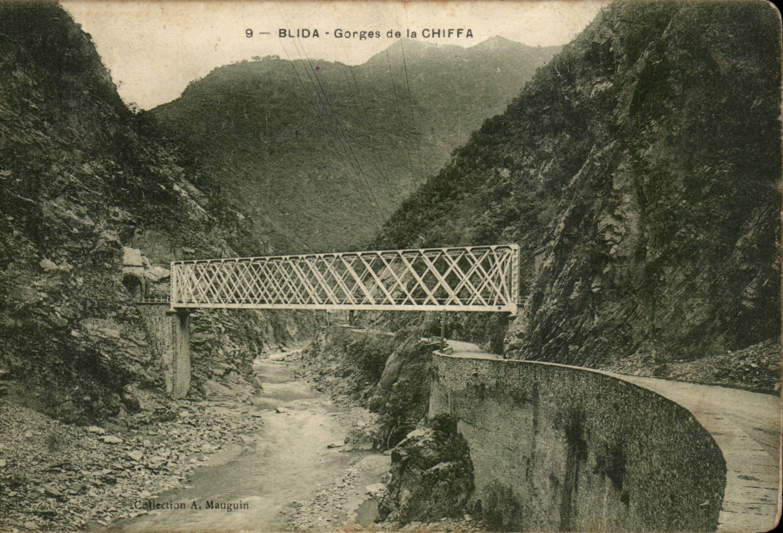 Algeria Blida CPA Falls of Chiffa